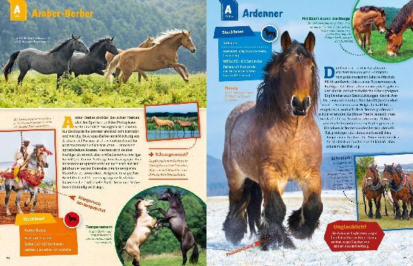 Was ist was: Pferde und Ponys