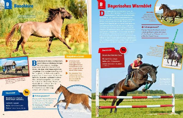 Was ist was: Pferde und Ponys