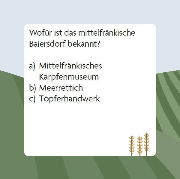 Das Franken-Quiz (Neuausgabe)