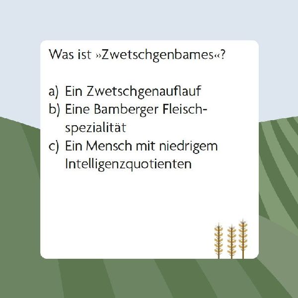 Das Franken-Quiz (Neuausgabe)
