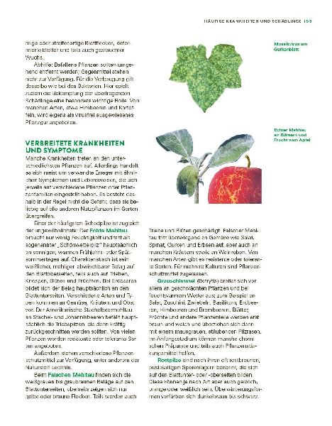 Das große Gemüse- und Obstgartenbuch
