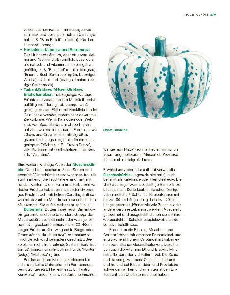 Das große Gemüse- und Obstgartenbuch
