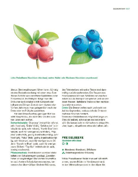 Das große Gemüse- und Obstgartenbuch