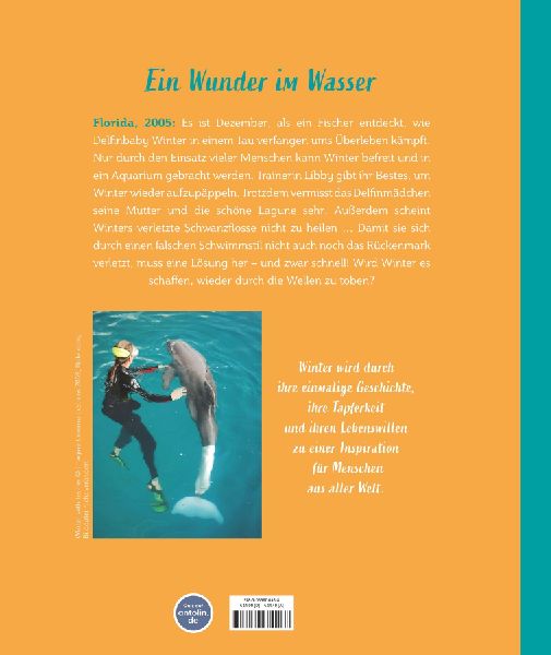 Tierische Helden: Wie Delfin Winter wieder schwimmen lernte