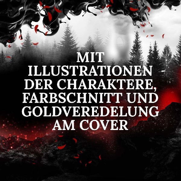 Dreamcatcher | Shadowfall (Band 6)