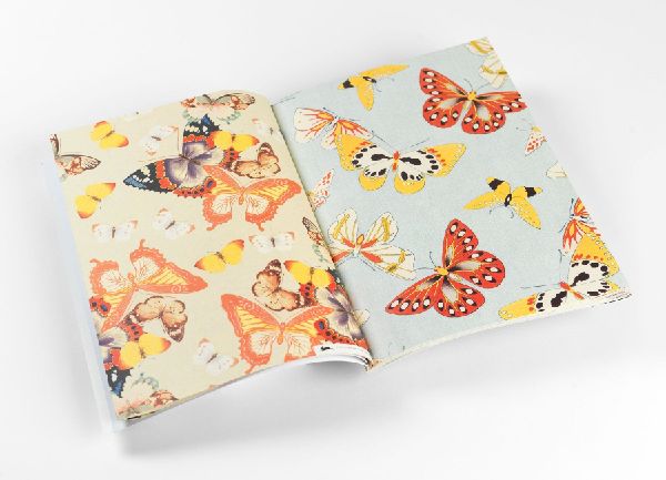 Japanese Butterflies