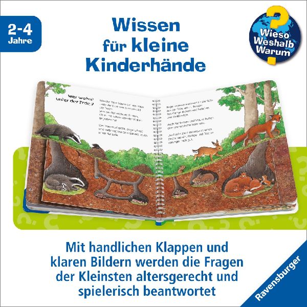 Wieso? Weshalb? Warum? junior, Band 6: Der Wald