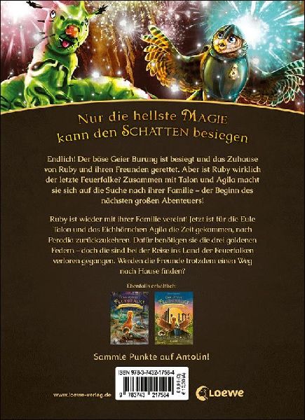 Der letzte Feuerfalke und das geheime Labyrinth (Band 10)
