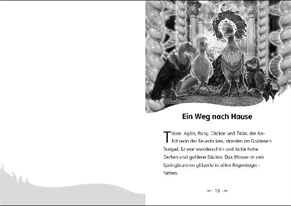 Der letzte Feuerfalke und das geheime Labyrinth (Band 10)