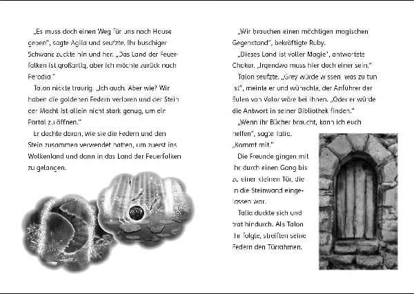 Der letzte Feuerfalke und das geheime Labyrinth (Band 10)