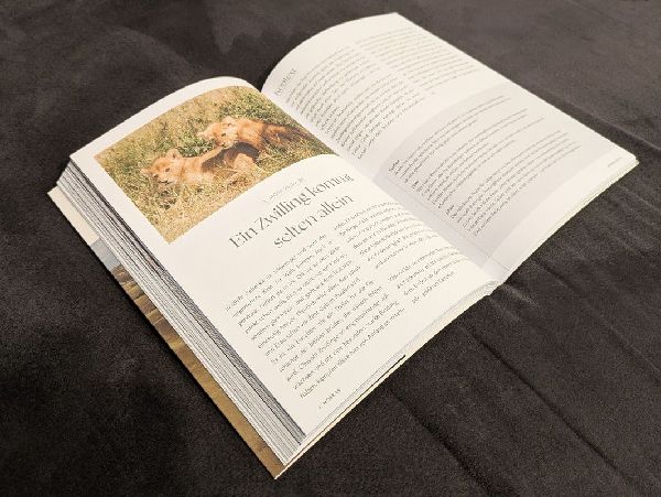 Das Bibellesebuch zu 1. Mose