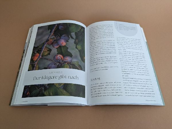 Das Bibellesebuch zu 1. Mose