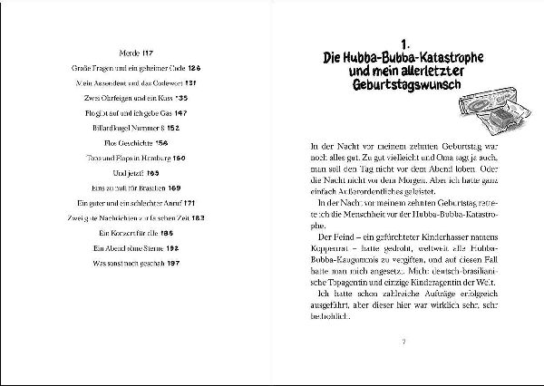 Lola in geheimer Mission (Band 3)
