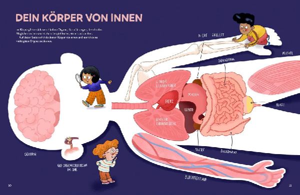 Von Kopf bis Fuß erstaunlich - Spannende Fakten über deinen Körper