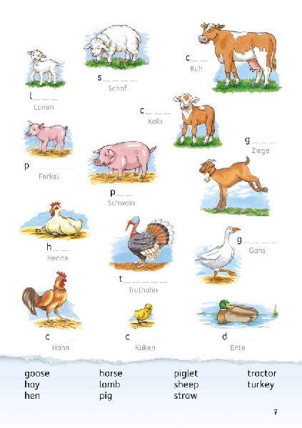 Mein buntes Vokabelheft Englisch 3./4. Klasse