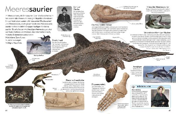memo Wissen. Fossilien