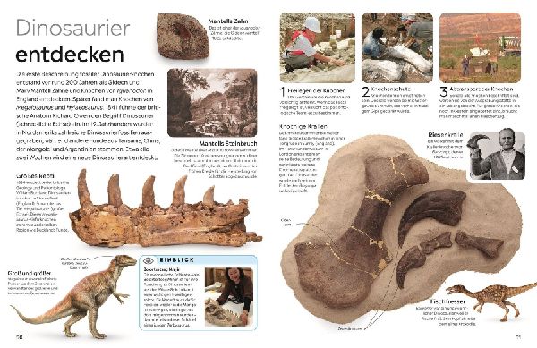 memo Wissen. Fossilien