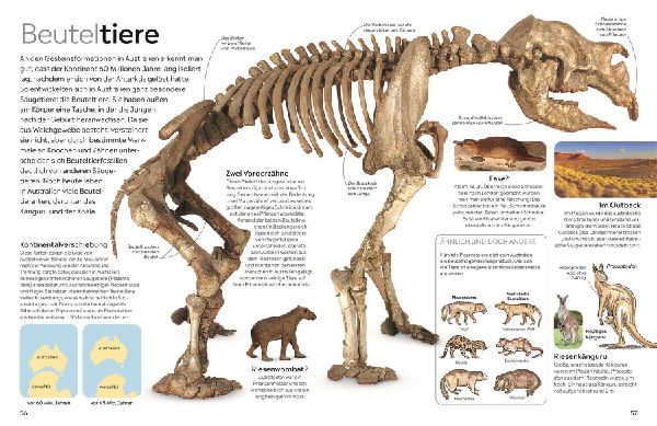 memo Wissen. Fossilien