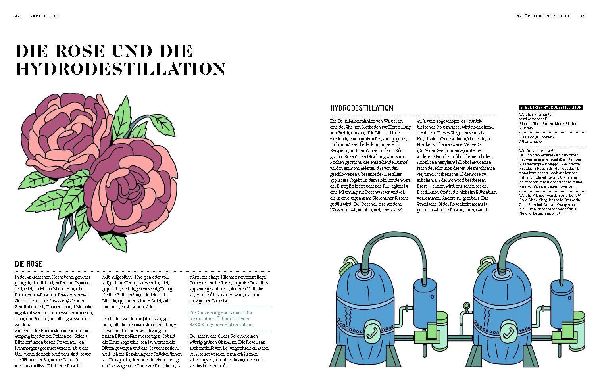 PARFUM: Alles über die Welt der Düfte