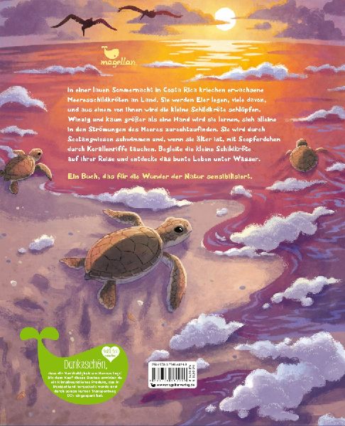 Die kleine Schildkröte - Zu Hause im Meer