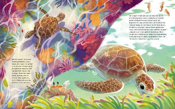Die kleine Schildkröte - Zu Hause im Meer