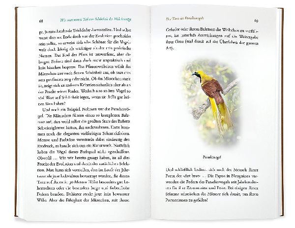 Kleine Philosophie der Vögel