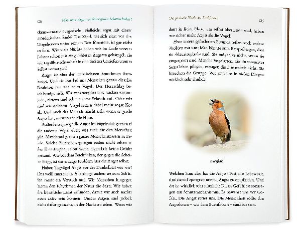 Kleine Philosophie der Vögel