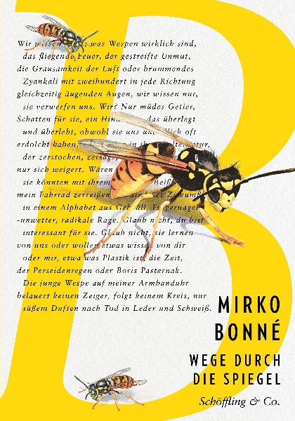 Wege durch die Spiegel