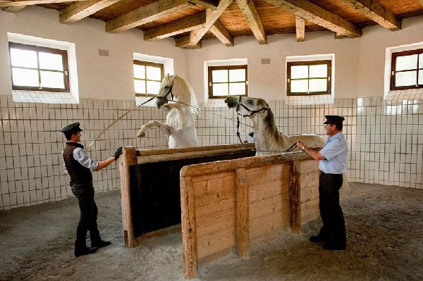 450 Jahre Spanische Hofreitschule