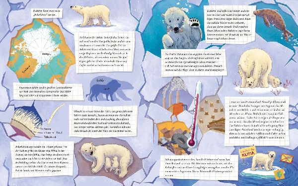 Der kleine Polarbär - Zu Hause in der Arktis