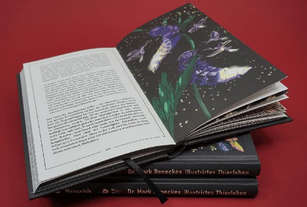 Kat Menschiks und des Diplom-Biologen Doctor Rerum Medicinalium Mark Beneckes Illustrirtes Thierleben