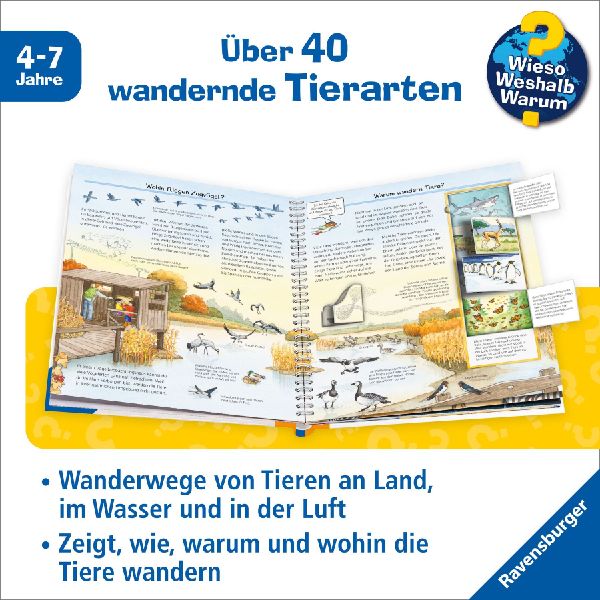 Wieso? Weshalb? Warum?, Band 37: Alles über Tierwanderungen