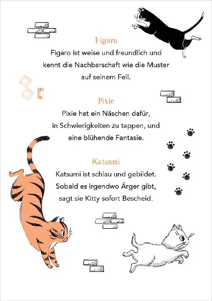 Kitty (Band 3) - Abenteuer im Sternenlicht