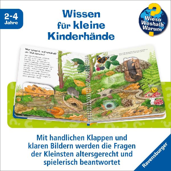 Wieso? Weshalb? Warum? junior, Band 77 - Tiere im Wald