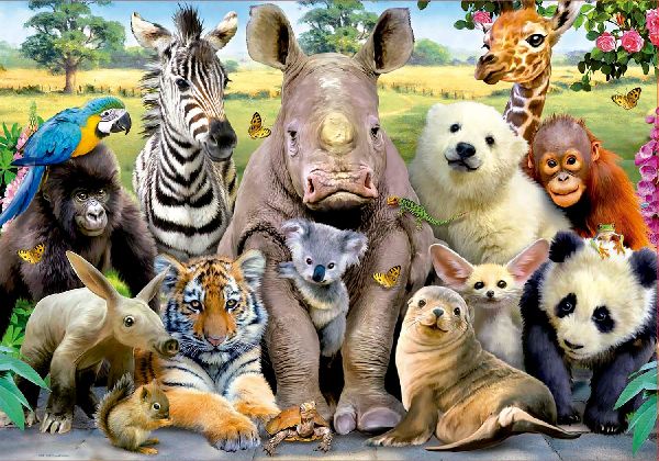 Educa - Lustige Zootiere - Puzzle 300 Teile