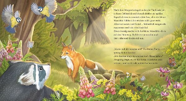 Der kleine Waschbär traut sich was - ein Bilderbuch für Kinder ab 2 Jahren