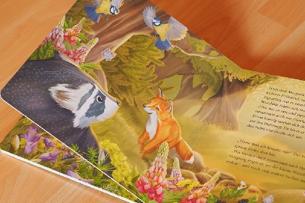 Der kleine Waschbär traut sich was - ein Bilderbuch für Kinder ab 2 Jahren