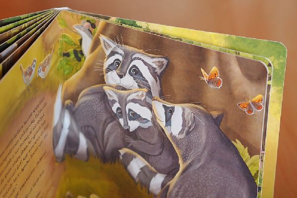 Der kleine Waschbär traut sich was - ein Bilderbuch für Kinder ab 2 Jahren