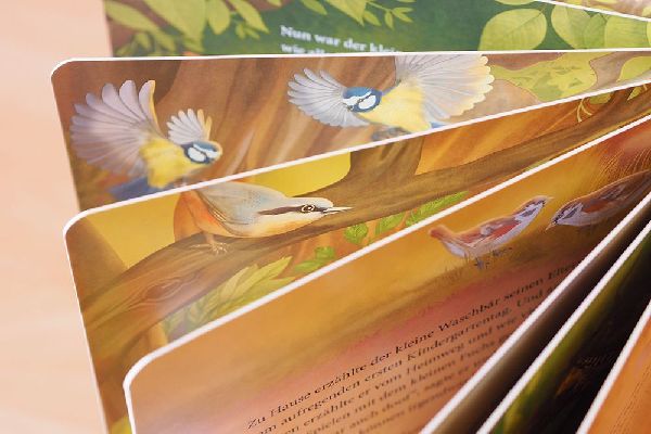 Der kleine Waschbär traut sich was - ein Bilderbuch für Kinder ab 2 Jahren