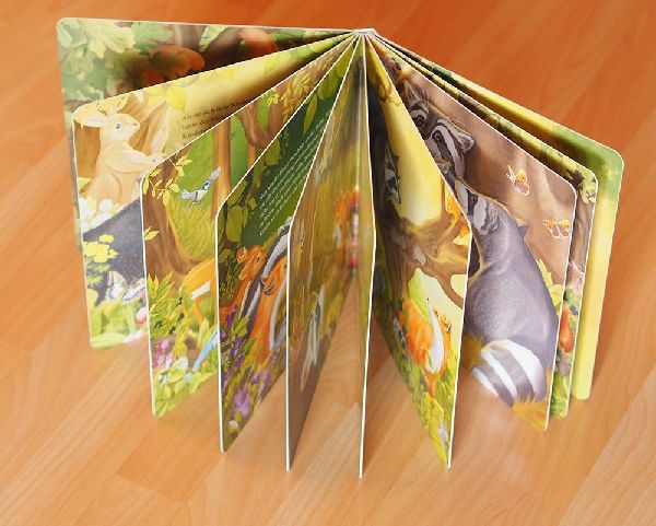 Der kleine Waschbär traut sich was - ein Bilderbuch für Kinder ab 2 Jahren