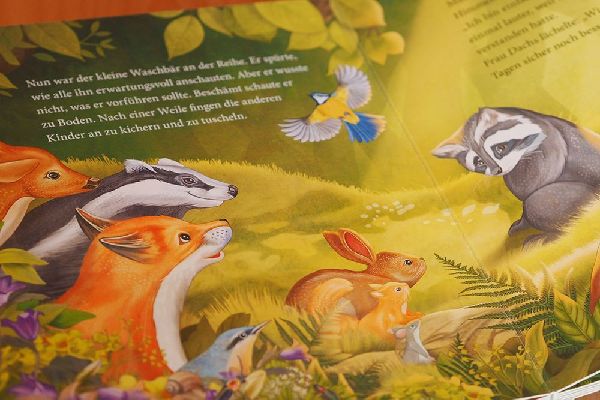 Der kleine Waschbär traut sich was - ein Bilderbuch für Kinder ab 2 Jahren