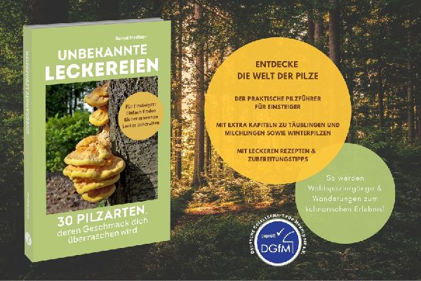 Unbekannte Leckereien: 30 Pilzarten, deren Geschmack dich überraschen wird