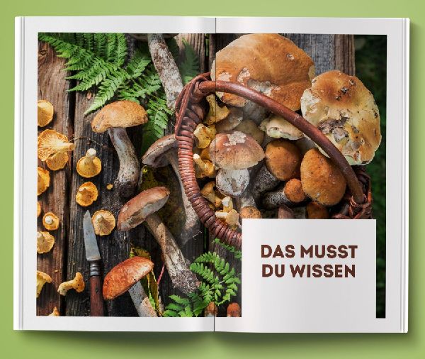 Unbekannte Leckereien: 30 Pilzarten, deren Geschmack dich überraschen wird