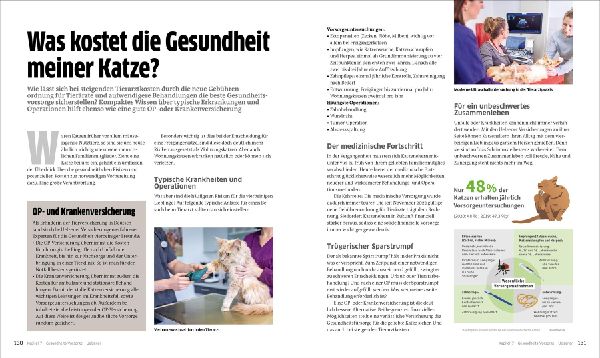 Die große Katzenbibel