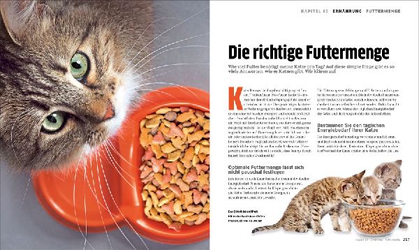 Die große Katzenbibel