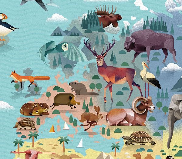 Die Welt der Tiere