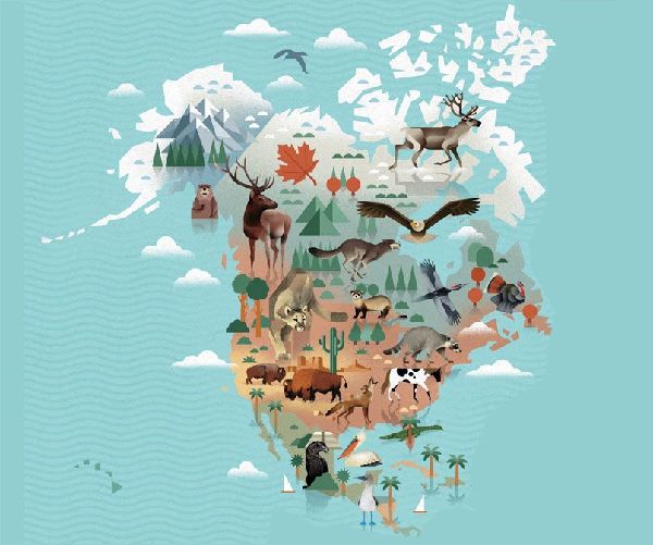 Die Welt der Tiere