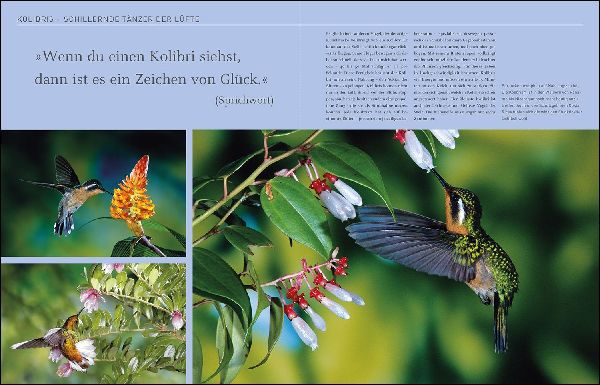 KUNTH Costa Rica. Das Buch