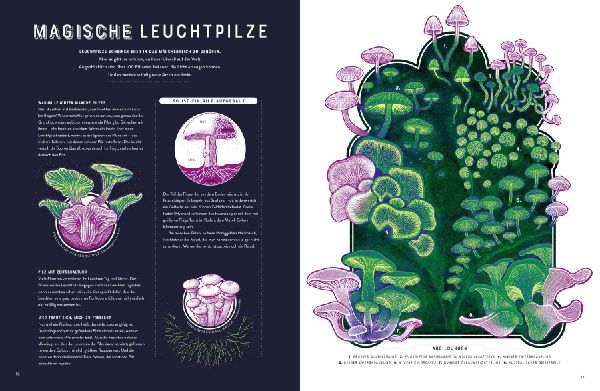 Glow - Das wundersame Leuchten der Natur