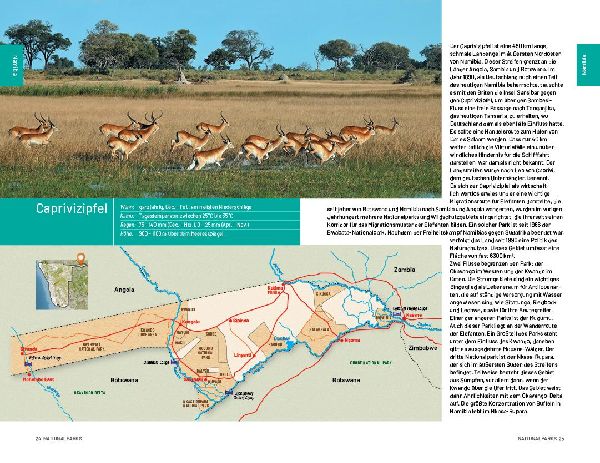 Safari-Reiseführer Südliches Afrika